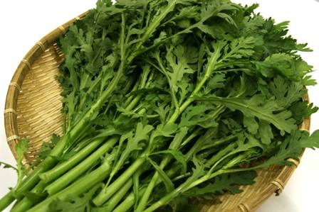 津軽の冬の野菜　「冬陽しゅんぎく」