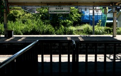 浅めし食堂は美味かった