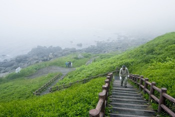 種差海岸名勝指定７０周年
