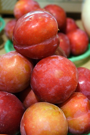 青森の夏は、やっぱ青森の「すもも」でしょ！