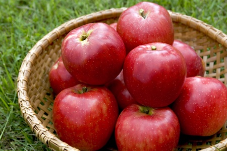 甘くてすっぱい噂のりんご　「彩香（さいか）」