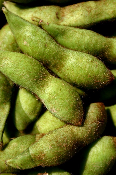 いよいよ本番！青森伝来のおいしい「毛まめ（けまめ）」