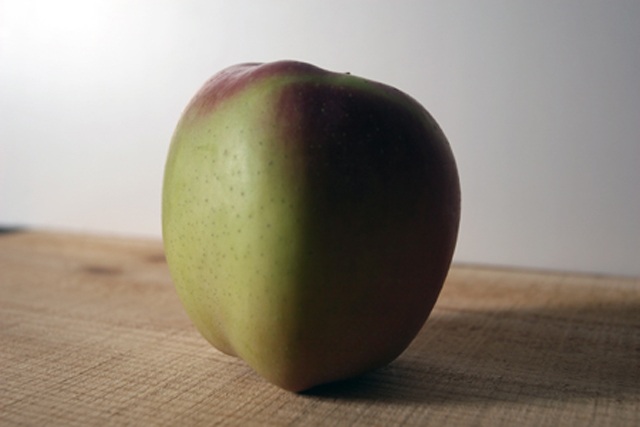 弘前生まれ。「印度りんご」