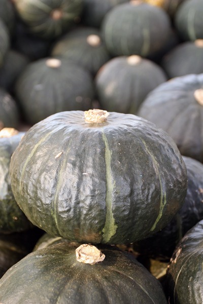 がんばれ。下北のおいしいカボチャ「一球入魂」。