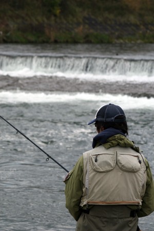 奥入瀬川のサーモンフィッシング