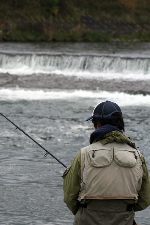 奥入瀬川のサーモンフィッシング