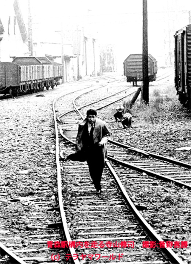 GWは青森の桜とアート三昧