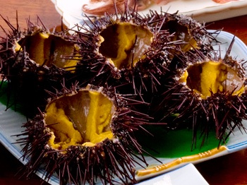 民宿 松ノ木で「うに祭り」