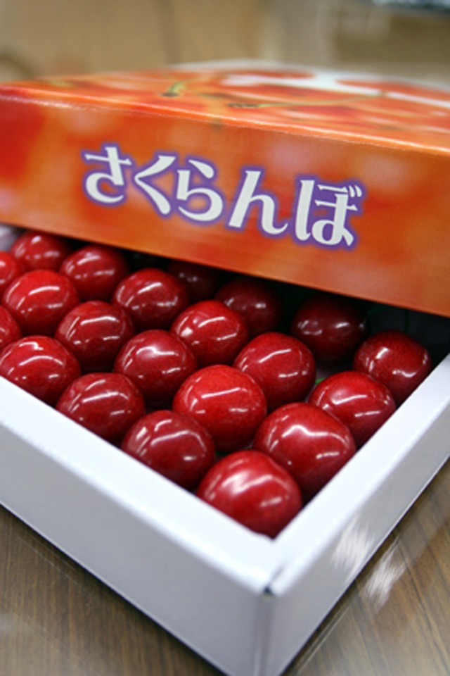 サクラのあとに・・・もうサクランボ！