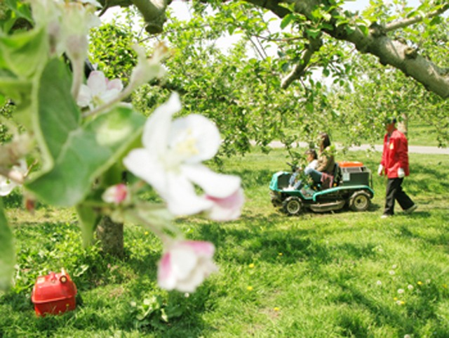 弘前りんご花まつり