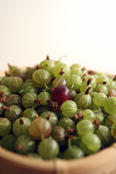 するどい酸味の楽しい果実　「すぐり」