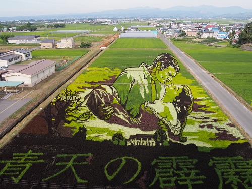 今年も見ごろの田んぼアート、素敵な本もできました!