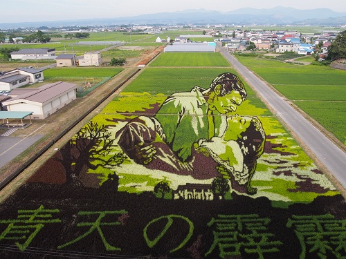 今年も見ごろの田んぼアート、素敵な本もできました！