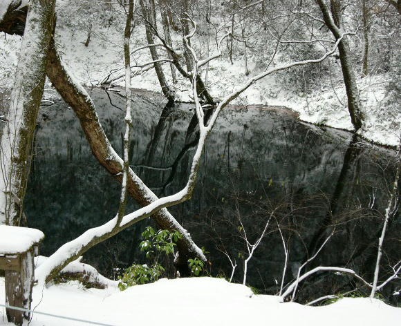 冬も『十二湖』
