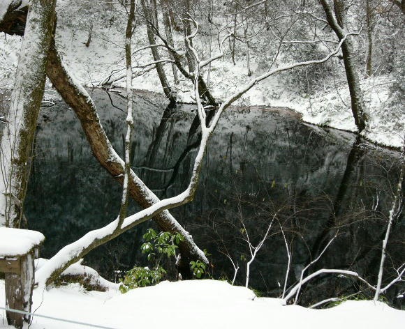 冬も『十二湖』