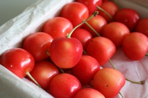 スゴイ名前に囲まれたスゴイさくらんぼ