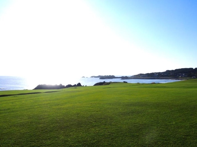 早朝の種差海岸で最高のヒーリング”天然芝生地で朝ヨガ”