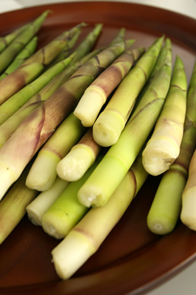 青森のタケノコ　「ネマガリタケ」