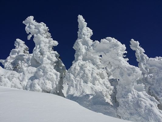 八甲田のスノーモンスターはもうしばらく楽しめます