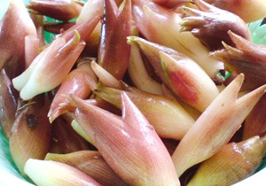 夏野菜としおから昆布