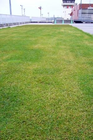 やさしい緑化基盤「プラム・エコ・システム」