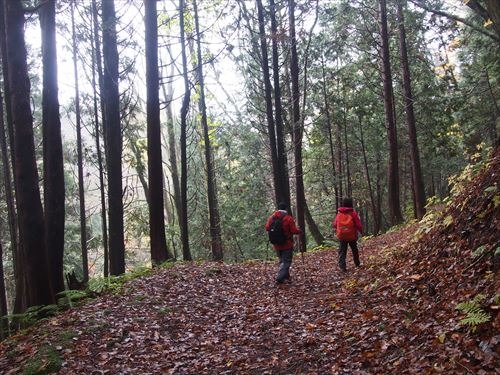 青森市内の素敵トレッキングコース!眺望山