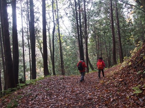 青森市内の素敵トレッキングコース！眺望山