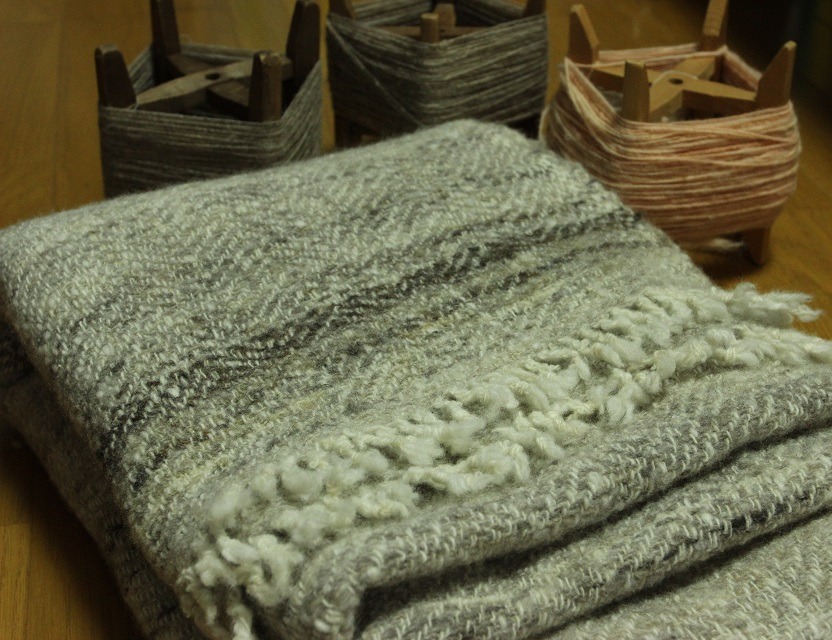 青森育ちの羊のホームスパン誕生!