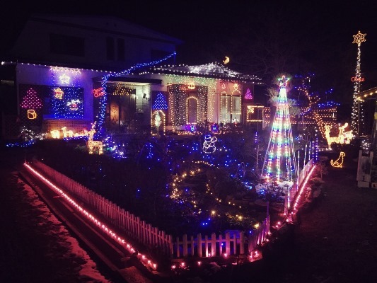 ひと味違う五戸町のイルミネーションをぜひ見てみなされ