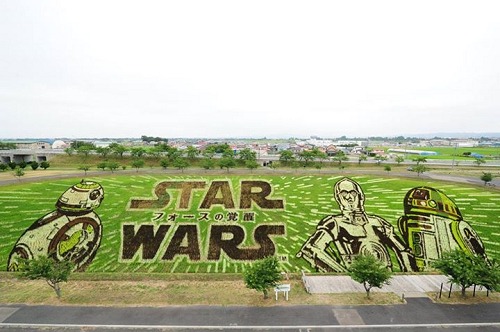 2015年まるごとブログアクセスベスト5!