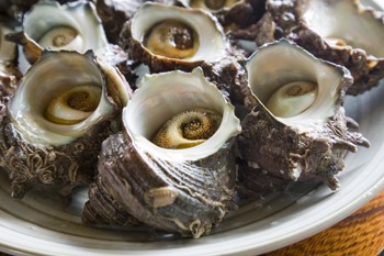 「広〆」の「さざえちらし」で夏堪能