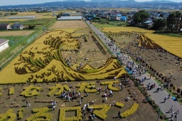 米へのこだわりが生んだ芸術～田んぼアート