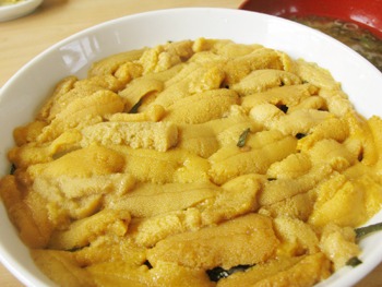 うに処「旅路」の生うに丼