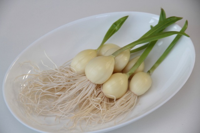 ニンニク王国・青森県が誇る自慢の逸品　四季菜にんにく株式会社の「姫にんにく」