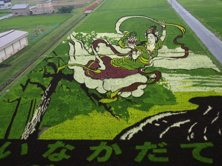 いまが見頃!田舎館村・田んぼアート
