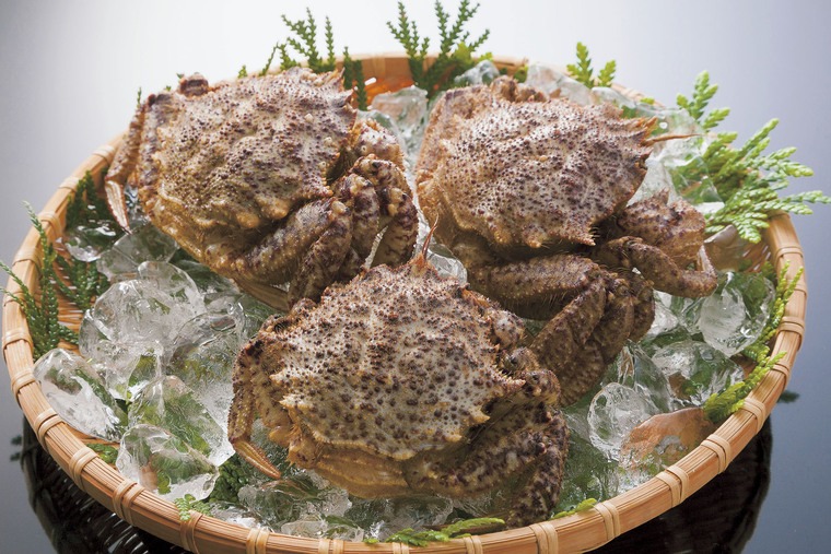 花より団子『陸奥湾のトゲクリガニと太平洋のヒラツメガニ』