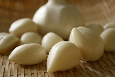 知られざる「苫米地（とまべち）ニンニク」