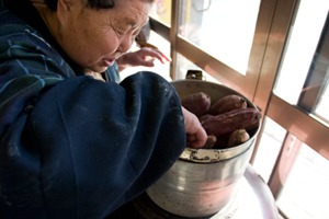 今年もやってますよ!　八戸　つぼ焼きいも