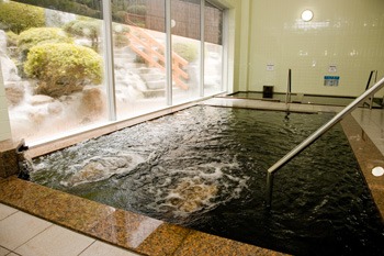 美人の湯『東北温泉』