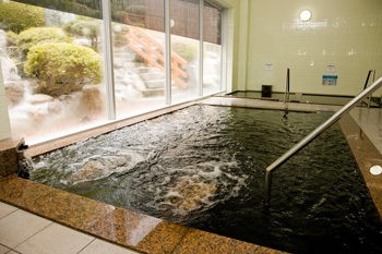 美人の湯『東北温泉』