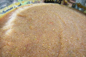 真鱈子(真だらの子)の醤油漬