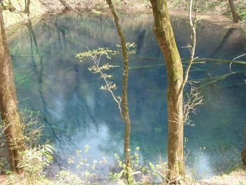 十二湖でアオーネ！