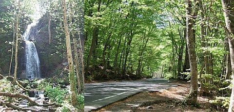 歩こう、食べよう、収支は…　～奥入瀬と上高地