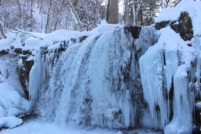 冬の「奥入瀬、蔦の森」の楽しみ方。