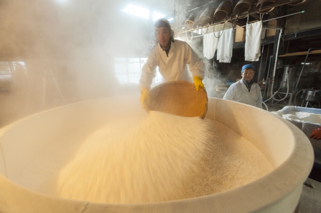 日本酒は米と水と人の手でつくられることを実感