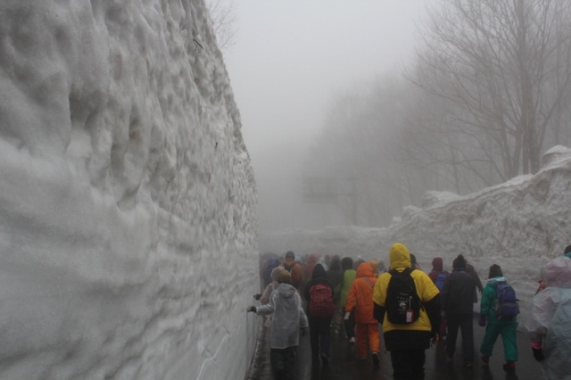 青森に春を呼ぶ八甲田ウォーク