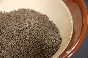 からだに優しい伝統作物「じゅね（エゴマ）」