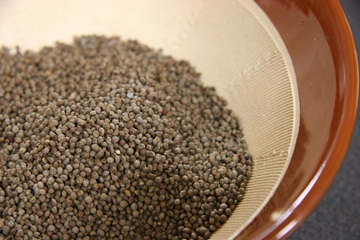 からだに優しい伝統作物「じゅね（エゴマ）」