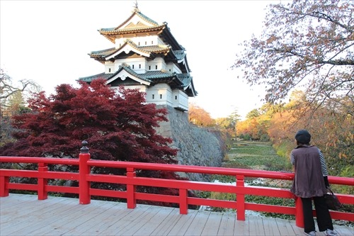 これで見納め!?弘前城と桜並木