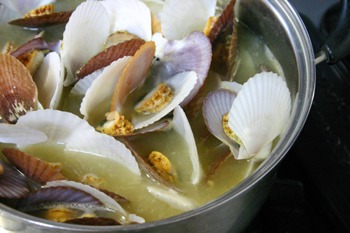 ほたての稚貝とベビーホタテ